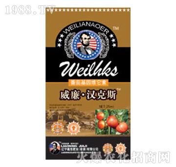 ���ѻ���S����-�������h��˹-�μ�