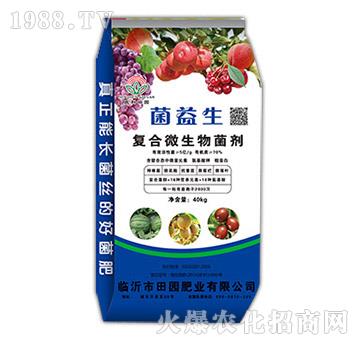 ��(f��)��΢�������-������-��@�ʘI(y��)