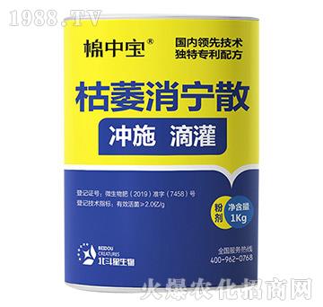 ��ή����ɢ-���Ќ�-������