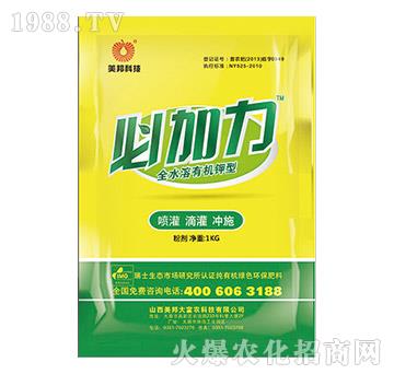 �ؼ���-����Ƽ�