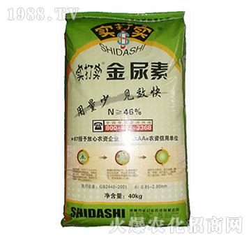 金尿素-實打?qū)? />
</div>
</div>
<style type=