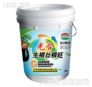 ��������Ѹ���-�μ�