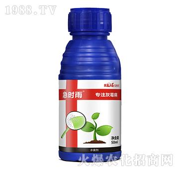 灰霉病專用殺菌劑-急時(shí)雨-中海潤(rùn)禾
