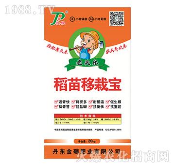 �������Ԍ�-���^��(l��)-����