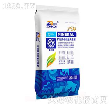 �V���|(zh��)��΢��Ԫ�ط�-չ������