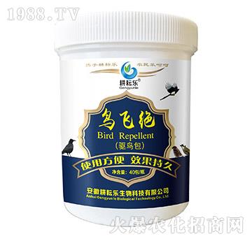 �B�w�^-���Ř�