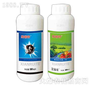 ������-����