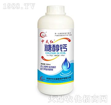 �Ǵ��}-����t