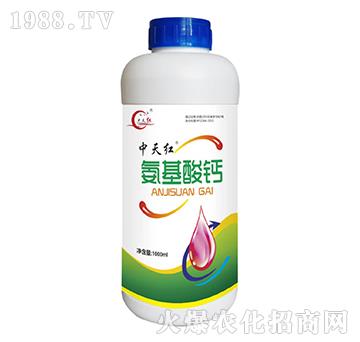 �������}-����t