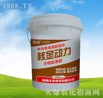 �ָ������-�˽���(d��ng)��-�S�r(n��ng)�r(n��ng)��