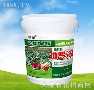 ��ˎ�ĸ��o�����-���_�h-�S�r(n��ng)�r(n��ng)��