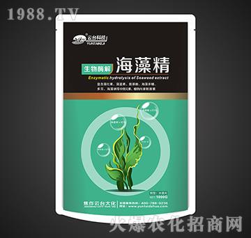 ����ø�⺣�徫-���_(t��i)��