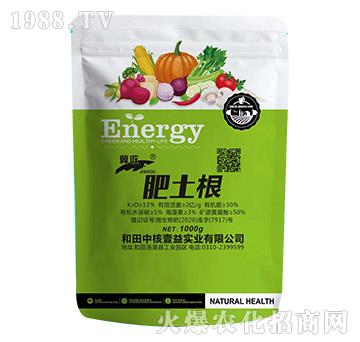 ������-����-�к�Ҽ��