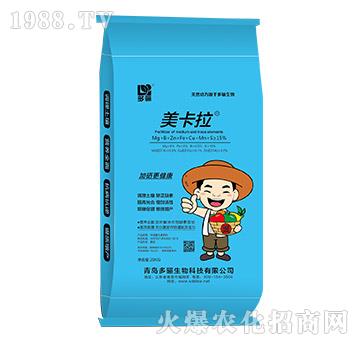 ���������{(l��n)����-���P����