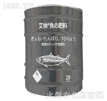 ���{�~����-���㺣