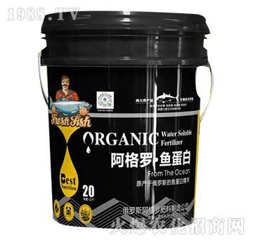 �����_���~����-���㺣