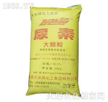 ���w������-�ӻ�����