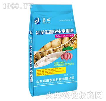 �t������������(zhu��n)�÷�-�����r(n��ng)�I(y��)