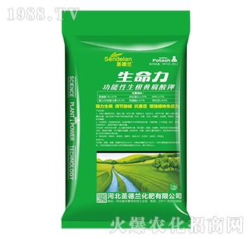 �����������S�����-������-ʥ���m