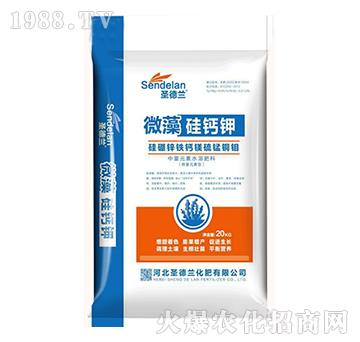 ΢����}�-ʥ���m