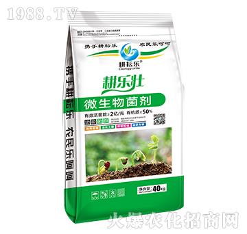 ΢�������-������-���Ř�