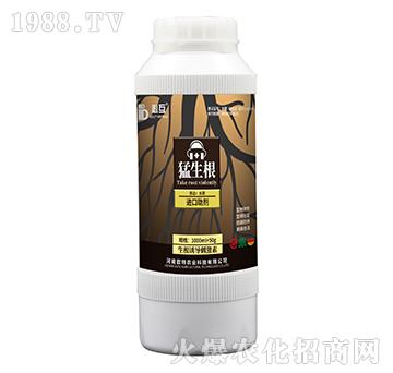 ������-�W���r(n��ng)�I(y��)