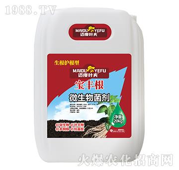 �����o����΢�������-���S��-�~���~��