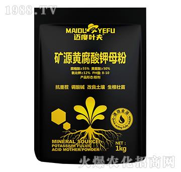 �VԴ�S�����ĸ��-�~���~��