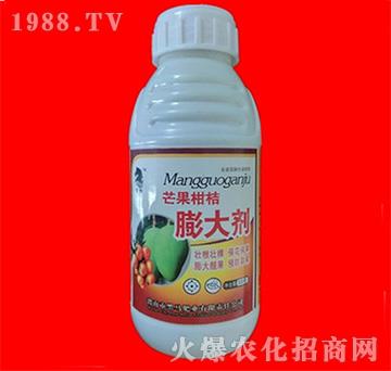 â���̽����-���R�ʘI(y��)