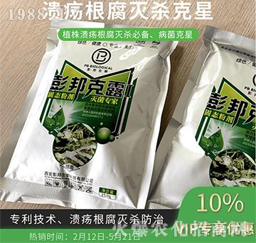 ���������皢����-�����¶-��������