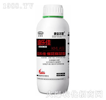 �߻�������-������-��������-��ķ�R