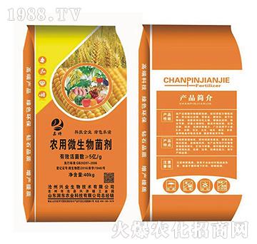 5�|ÿ���r(n��ng)��΢�������-��(r��n)�|�r(n��ng)�I(y��)