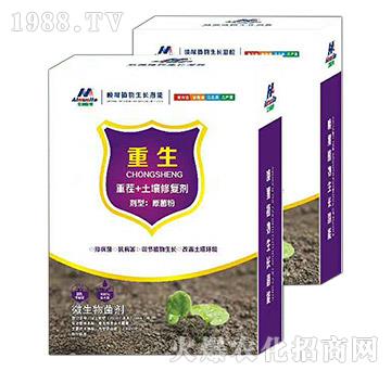 �ز�+�����ޏ̈́�-����-��ķ˹��