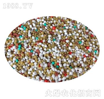 �����w��20-20-5�����t