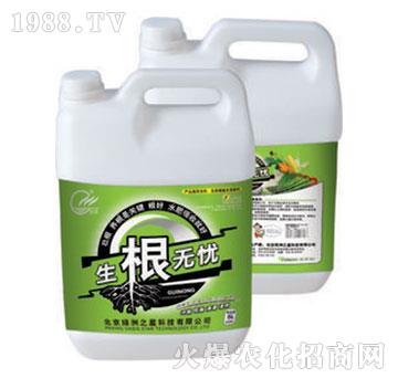 �����o�n-�G��֮��