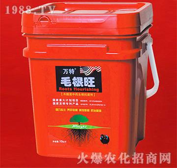 ë����-�f��-�ٺ����I(y��)