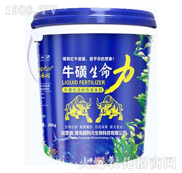 ����������-�@��Ԫ