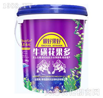 ţ�ǻ�����-�@��Ԫ