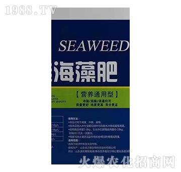 �����-�@��Ԫ