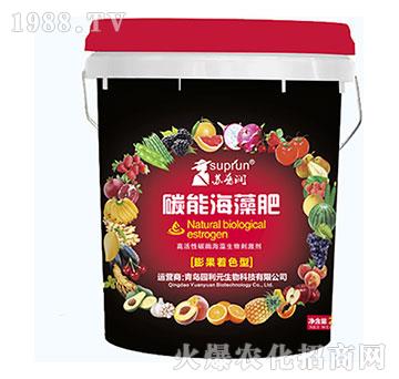 �����ɫ��-̼�ܺ����-�@��Ԫ