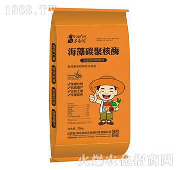 ����̼�ۺ�ø-�@��Ԫ