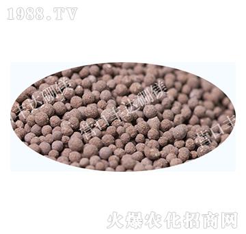 ʮ��Ԫ���w����-�S�_(d��)��