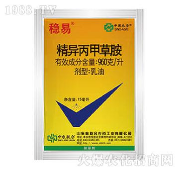 960��ÿ���������ײݰ�-��(w��n)��-���r(li��n)��