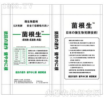 ����������-����