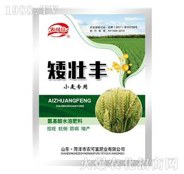 小麥專用氨基酸水溶肥料-矮壯豐--農(nóng)可富