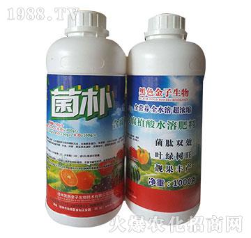 ����ֲ��ˮ�ܷ���-����-��ɫ����