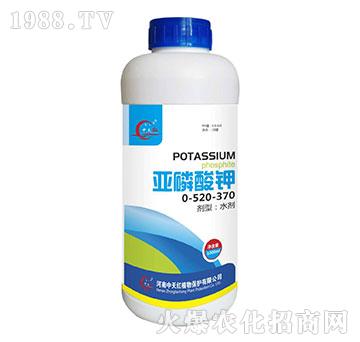 �������0-520-370-����t