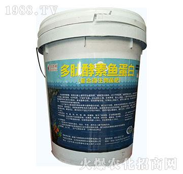 ��(f��)��΢�������-���Ľ����~(y��)����-ؐ����