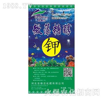 ΢���Ǵ��-ʥ���m