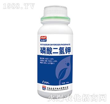 1000g��������-���R�S